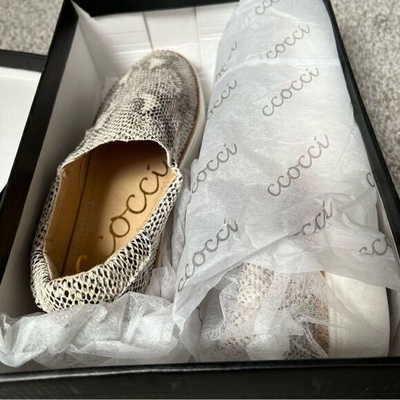 New with box | Ccocci Dream shoe - Picture 5 of 6